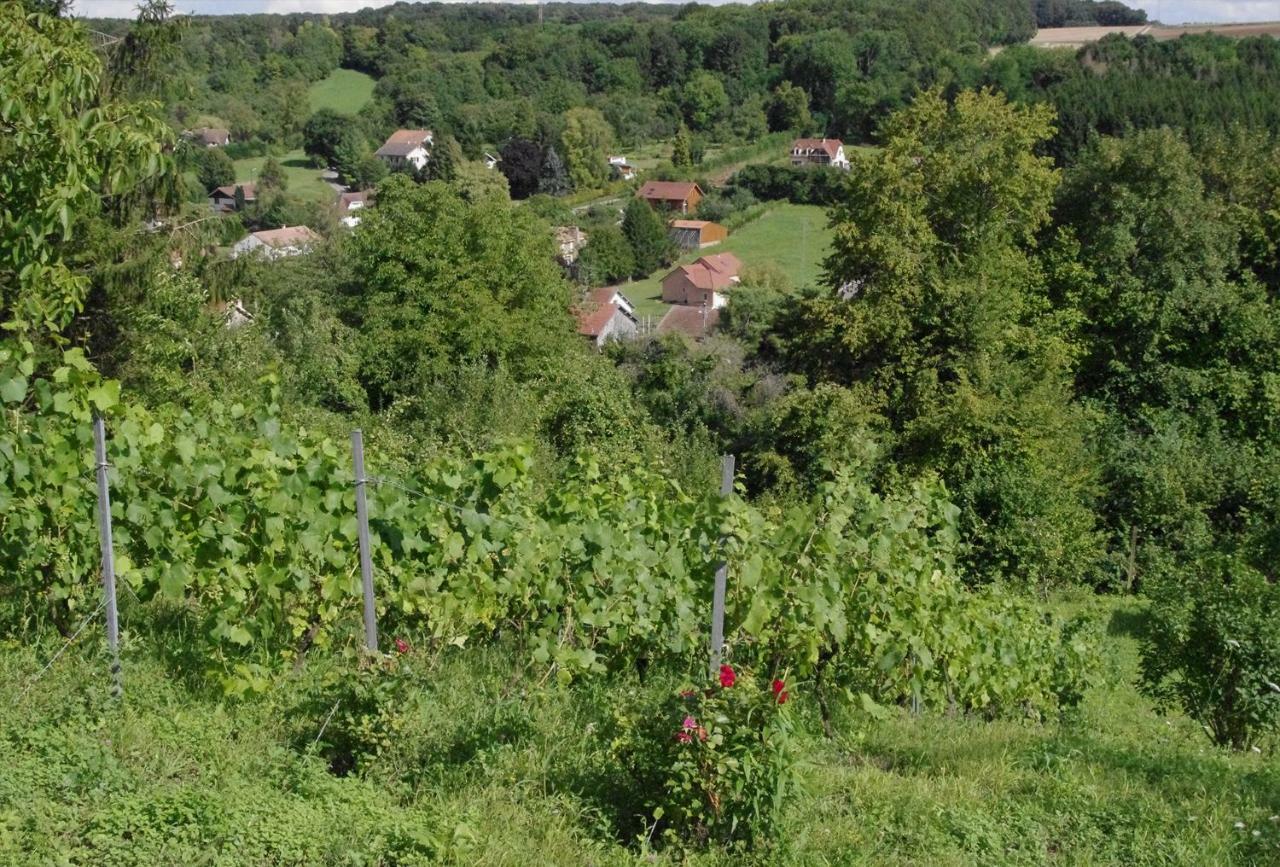 B&B Chez Fouchs - Chambre D'Hotes Dun-sur-Meuse Εξωτερικό φωτογραφία